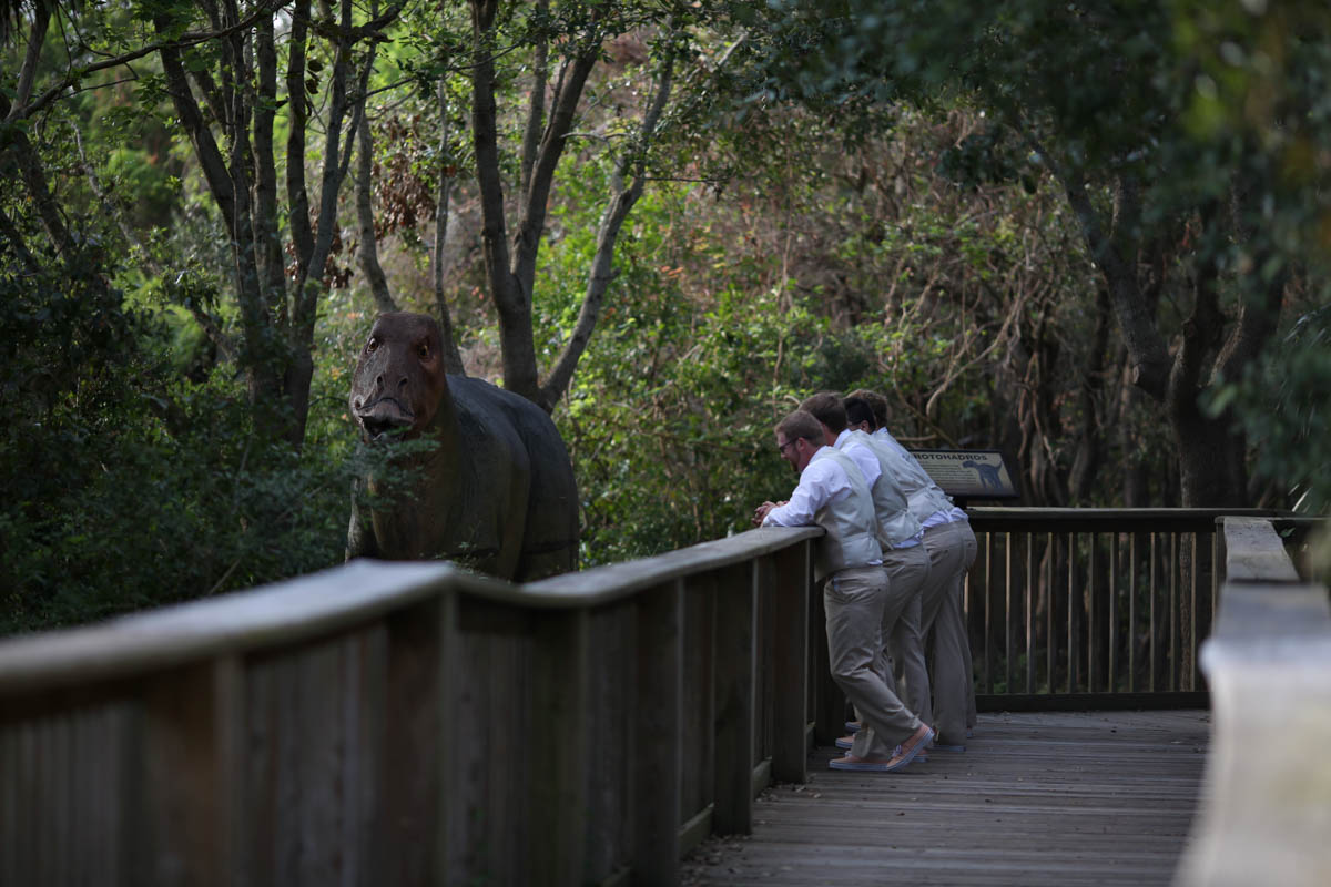 NC Aquarium Fort Fisher Wedding Photos Light Shifter Studios