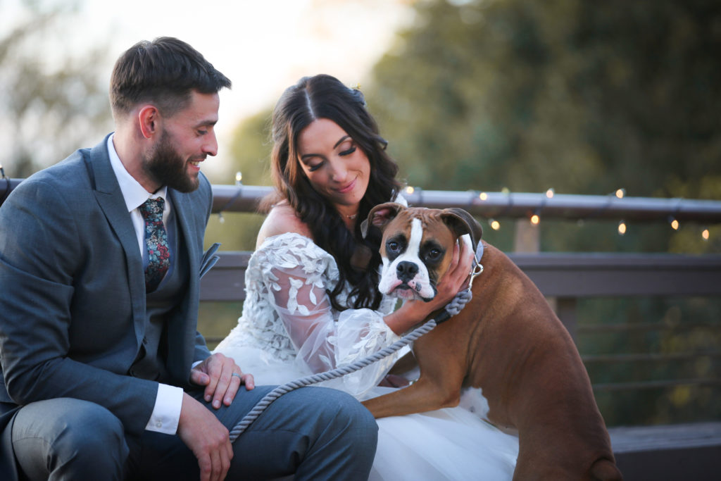 Wedding Photos with dogs 