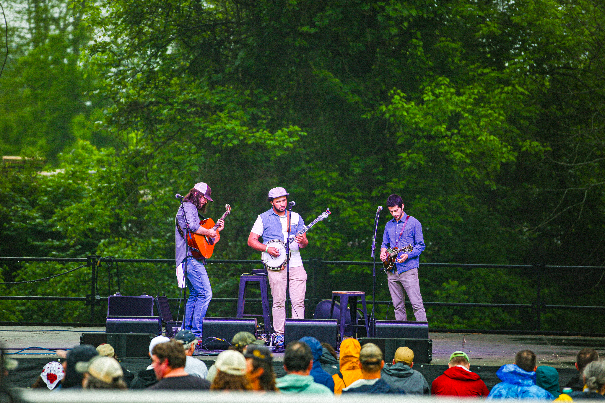 best new bluegrass acts  Tray Wellington band