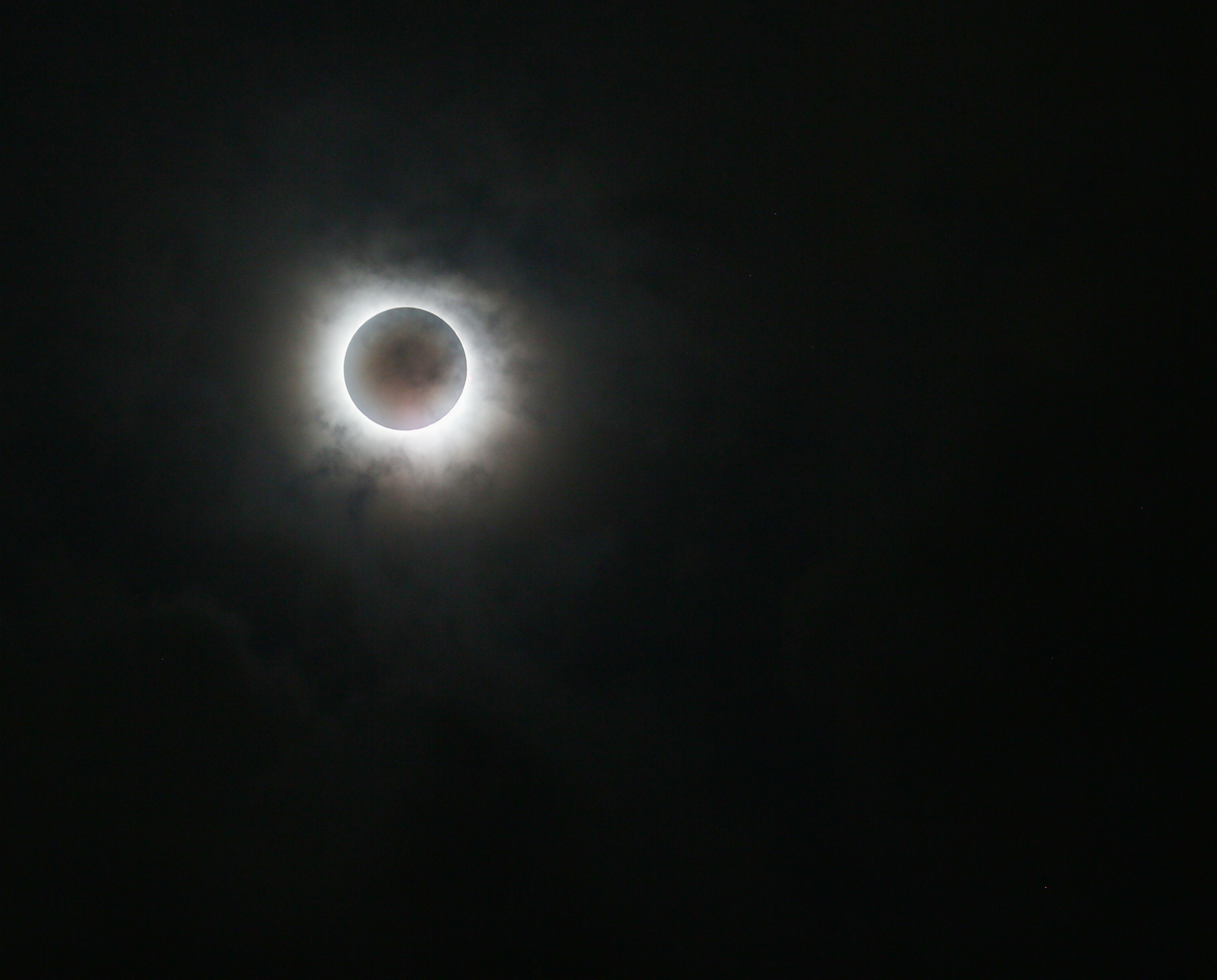 A total eclipse wedding in Texas