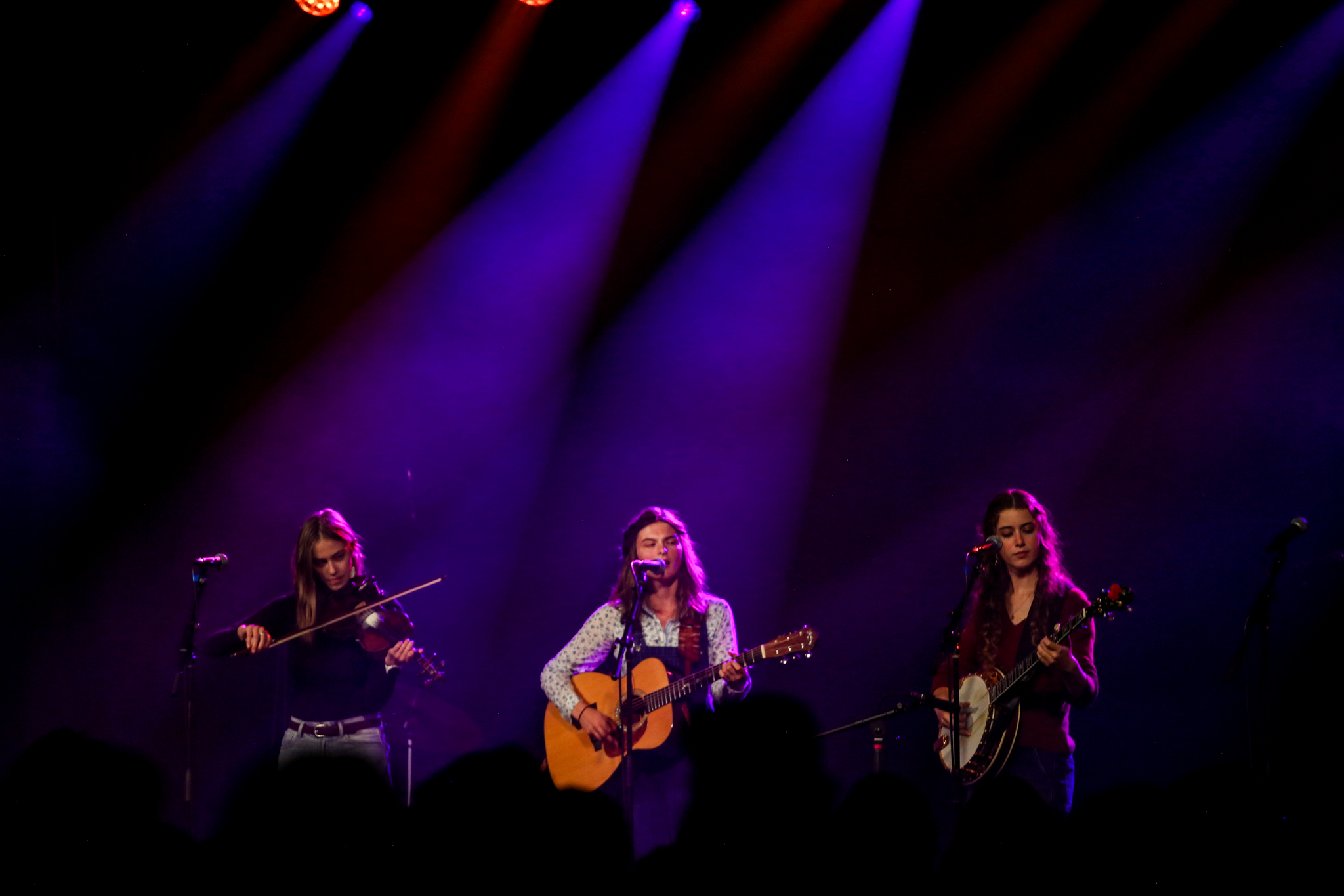 The Wilder flower Bluegrass Group from Western NC