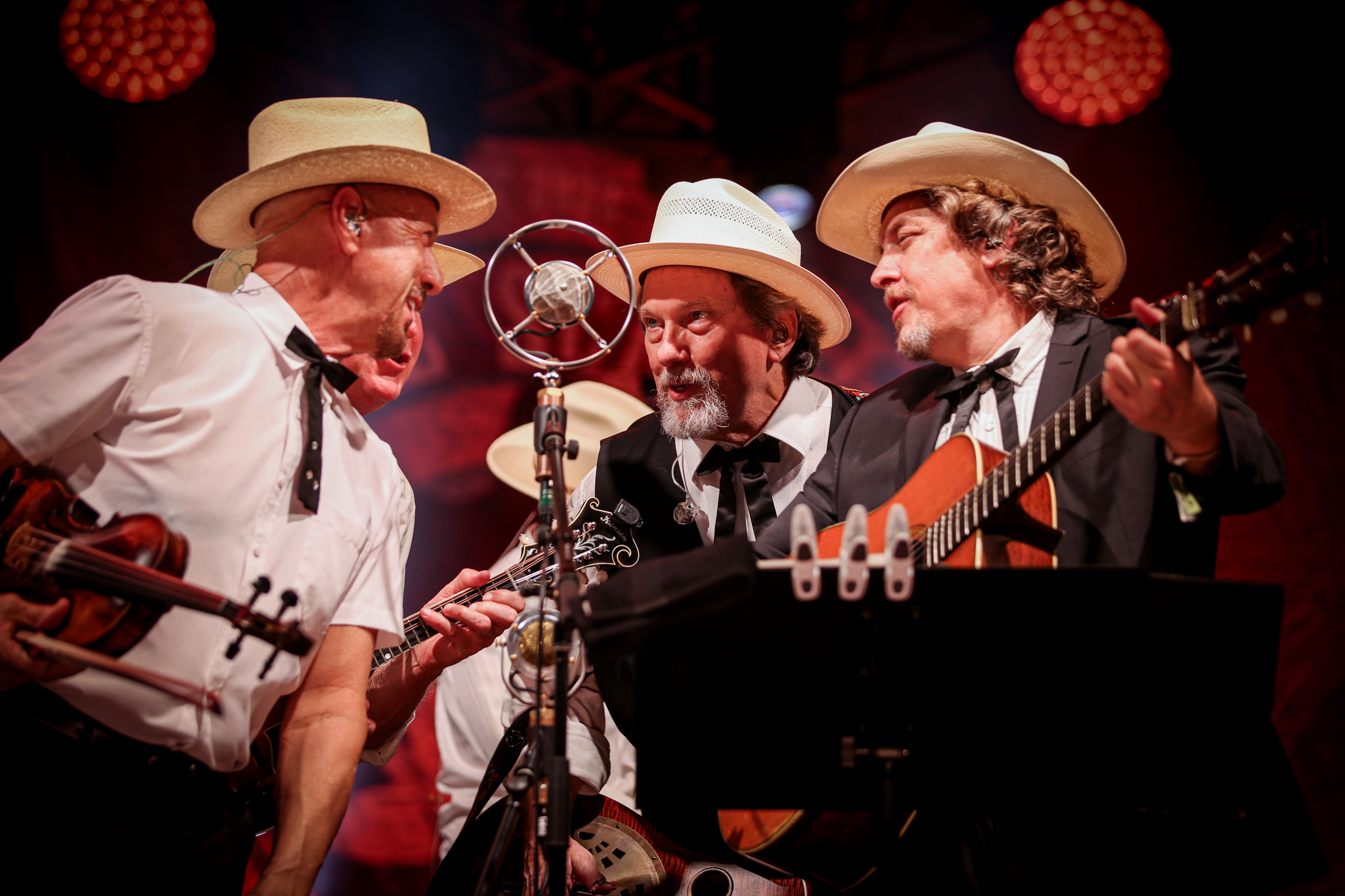 The Earls of Leicester perform at Earl Scruggs Music Festival in Tryon, NC. 